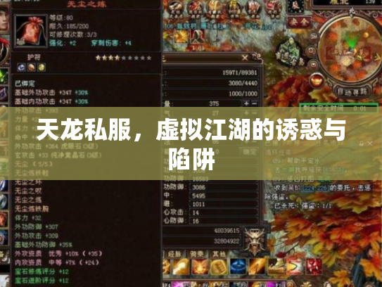 天龙私服，虚拟江湖的诱惑与陷阱