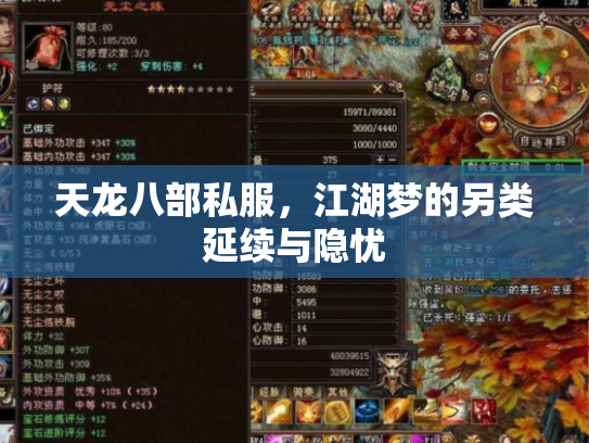 天龙八部私服，江湖梦的另类延续与隐忧