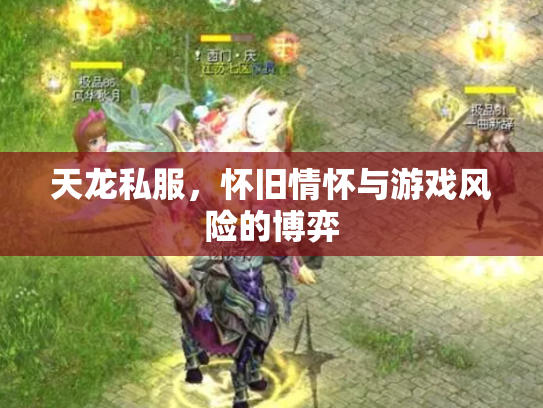 天龙私服，怀旧情怀与游戏风险的博弈