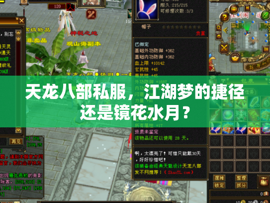 天龙八部私服，江湖梦的捷径还是镜花水月？