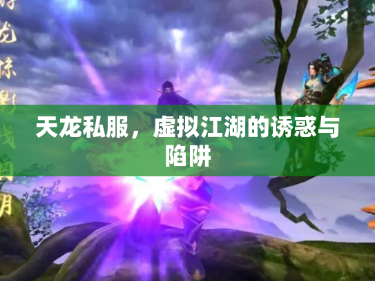 天龙私服，虚拟江湖的诱惑与陷阱