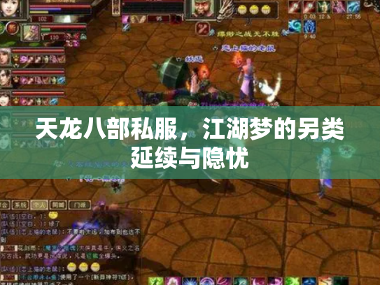 天龙八部私服，江湖梦的另类延续与隐忧