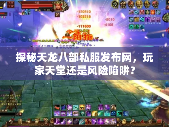 探秘天龙八部私服发布网，玩家天堂还是风险陷阱？