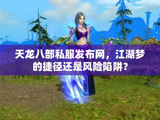 天龙八部私服发布网，江湖梦的捷径还是风险陷阱？
