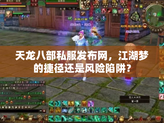 天龙八部私服发布网，江湖梦的捷径还是风险陷阱？