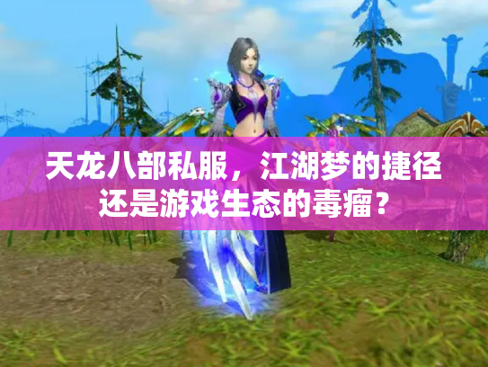 天龙八部私服，江湖梦的捷径还是游戏生态的毒瘤？
