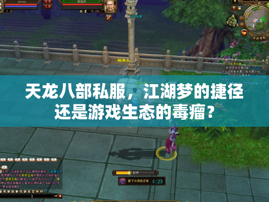 天龙八部私服，江湖梦的捷径还是游戏生态的毒瘤？