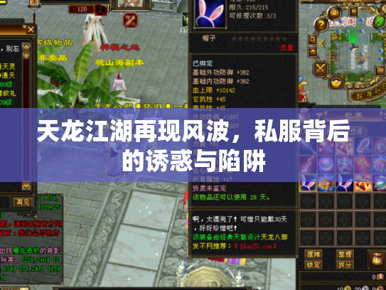 天龙江湖再现风波，私服背后的诱惑与陷阱