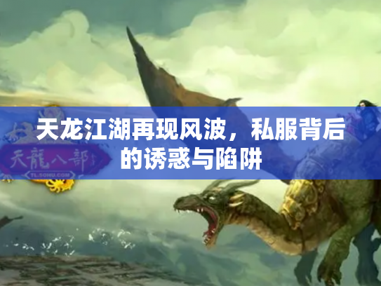 天龙江湖再现风波，私服背后的诱惑与陷阱
