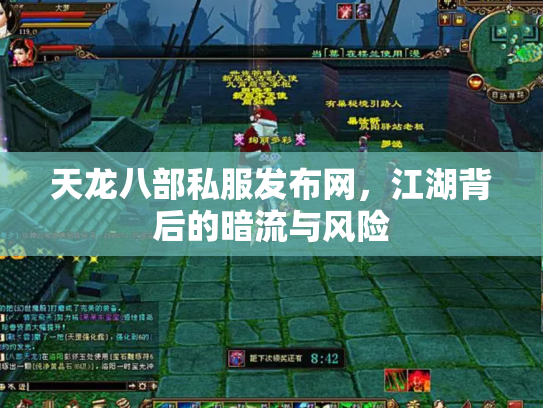 天龙八部私服发布网，江湖背后的暗流与风险