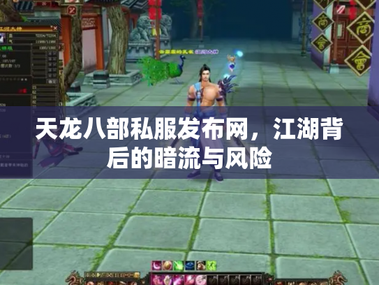 天龙八部私服发布网，江湖背后的暗流与风险