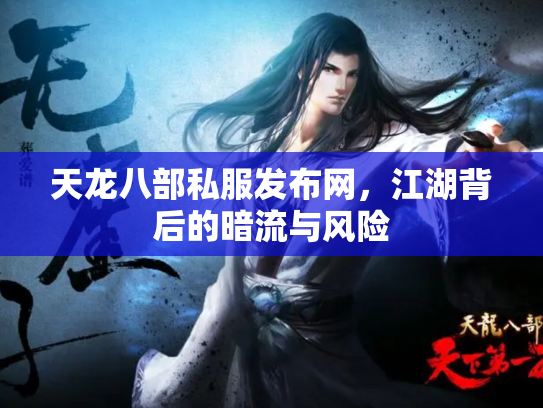 天龙八部私服发布网，江湖背后的暗流与风险
