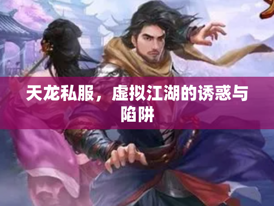 天龙私服，虚拟江湖的诱惑与陷阱