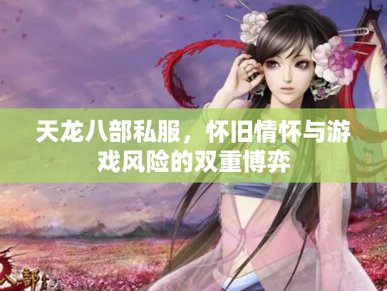 天龙八部私服，怀旧情怀与游戏风险的双重博弈