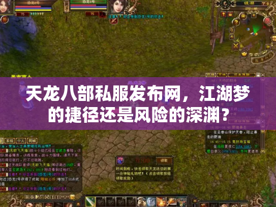 天龙八部私服发布网，江湖梦的捷径还是风险的深渊？
