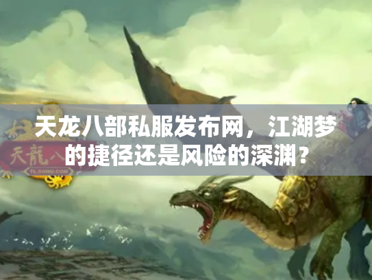 天龙八部私服发布网，江湖梦的捷径还是风险的深渊？