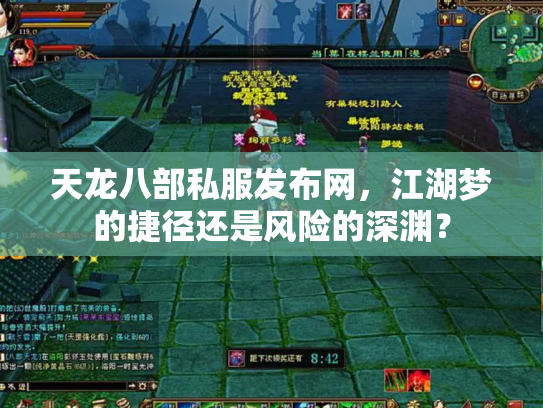 天龙八部私服发布网，江湖梦的捷径还是风险的深渊？