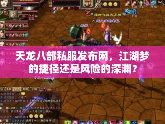 天龙八部私服发布网，江湖梦的捷径还是风险的深渊？