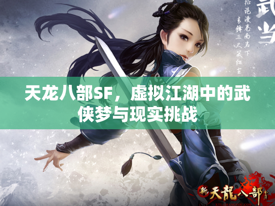 天龙八部SF，虚拟江湖中的武侠梦与现实挑战
