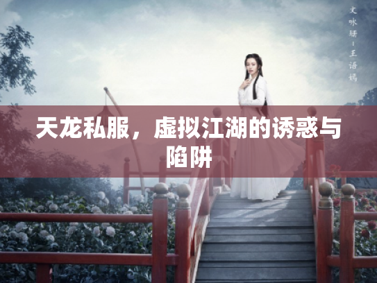 天龙私服，虚拟江湖的诱惑与陷阱