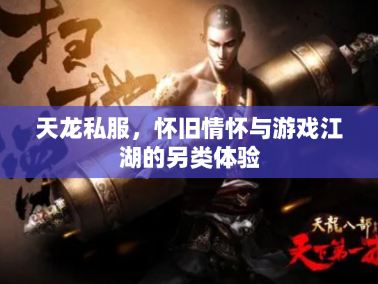 天龙私服，怀旧情怀与游戏江湖的另类体验