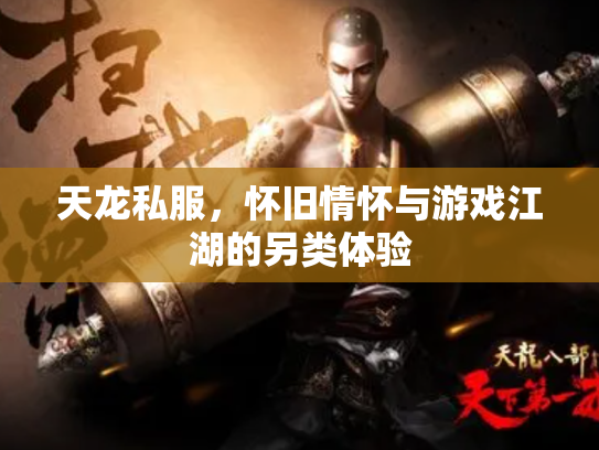 天龙私服，怀旧情怀与游戏江湖的另类体验