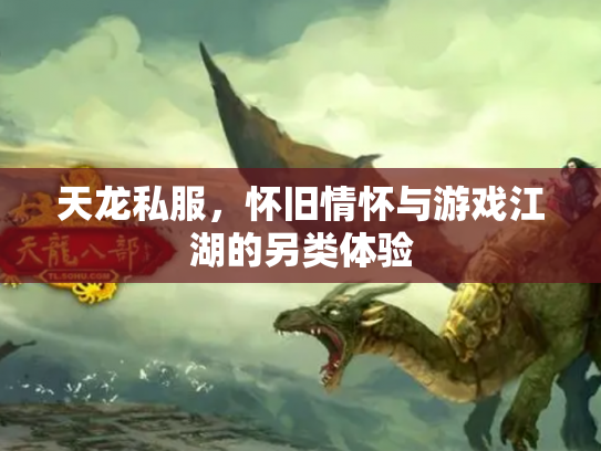 天龙私服，怀旧情怀与游戏江湖的另类体验