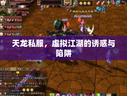 天龙私服，虚拟江湖的诱惑与陷阱