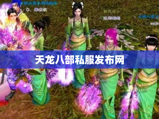 天龙八部私服发布网