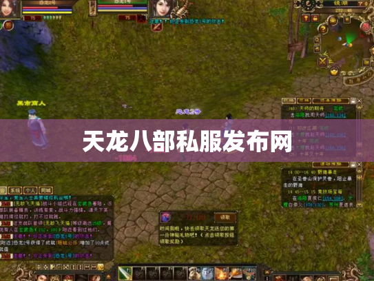 天龙八部私服发布网