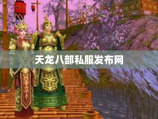 天龙八部私服发布网