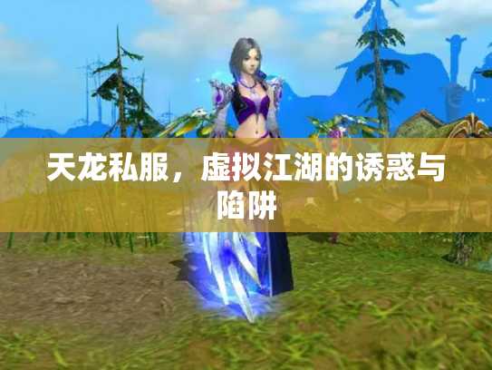 天龙私服，虚拟江湖的诱惑与陷阱