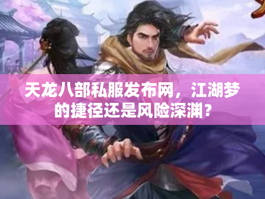 天龙八部私服发布网，江湖梦的捷径还是风险深渊？