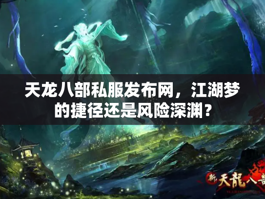天龙八部私服发布网，江湖梦的捷径还是风险深渊？
