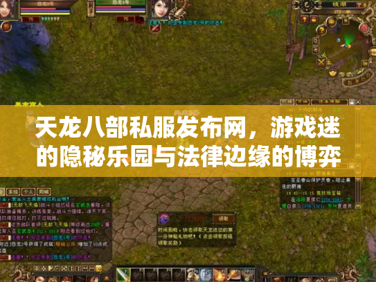 天龙八部私服发布网，游戏迷的隐秘乐园与法律边缘的博弈