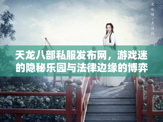 天龙八部私服发布网，游戏迷的隐秘乐园与法律边缘的博弈