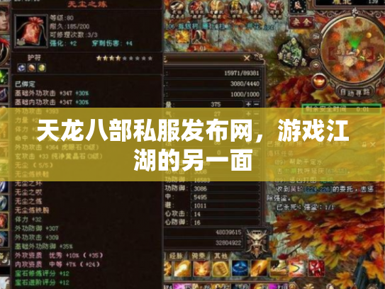 天龙八部私服发布网，游戏江湖的另一面
