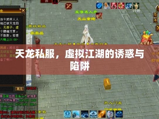 天龙私服，虚拟江湖的诱惑与陷阱
