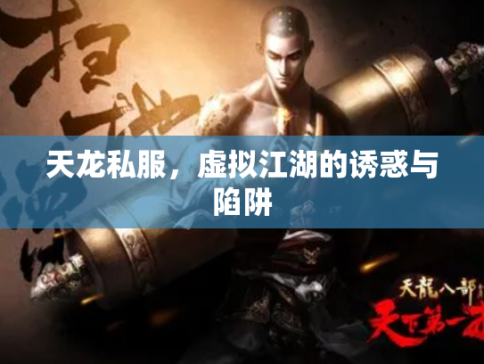 天龙私服，虚拟江湖的诱惑与陷阱