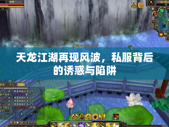 天龙江湖再现风波，私服背后的诱惑与陷阱