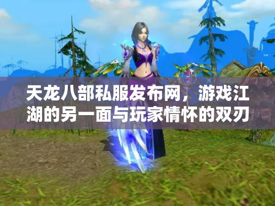 天龙八部私服发布网，游戏江湖的另一面与玩家情怀的双刃剑