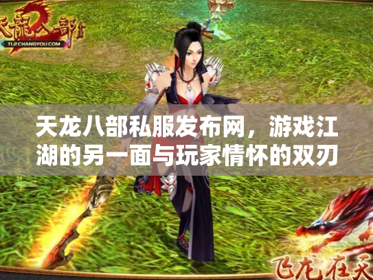 天龙八部私服发布网，游戏江湖的另一面与玩家情怀的双刃剑