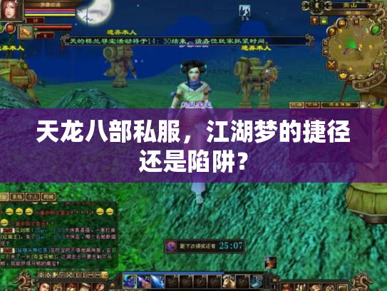 天龙八部私服，江湖梦的捷径还是陷阱？