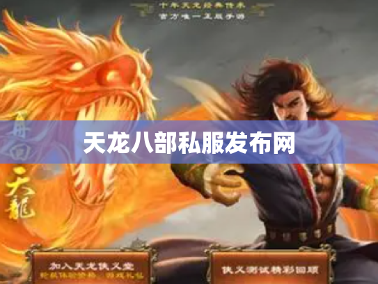 天龙八部私服发布网