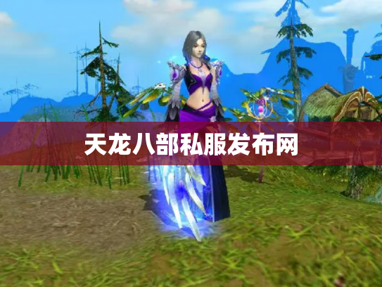 天龙八部私服发布网