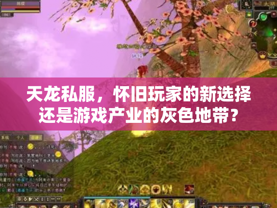 天龙私服，怀旧玩家的新选择还是游戏产业的灰色地带？