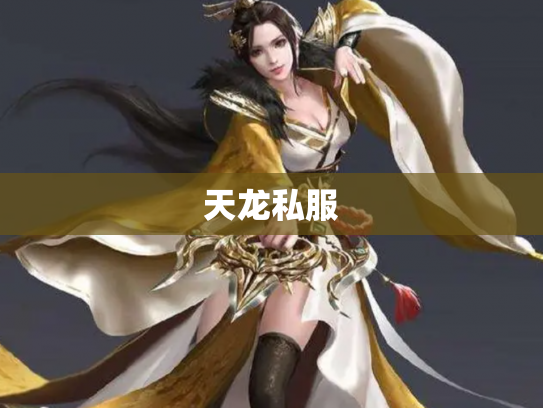 天龙私服