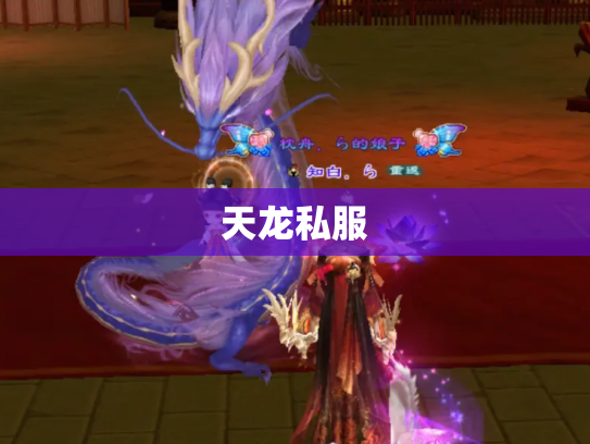 天龙私服