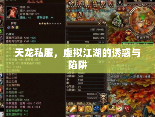 天龙私服，虚拟江湖的诱惑与陷阱