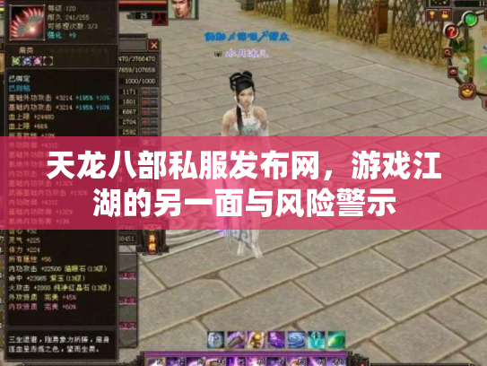 天龙八部私服发布网，游戏江湖的另一面与风险警示
